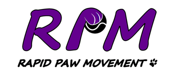 RPM Flyball